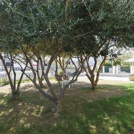 Pet Friendly In With Kitchen ספליט