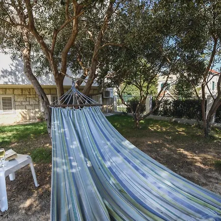 Pet Friendly In With Kitchen דירה
