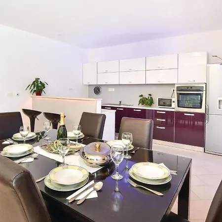 Apartment Pet Friendly In With Kitchen